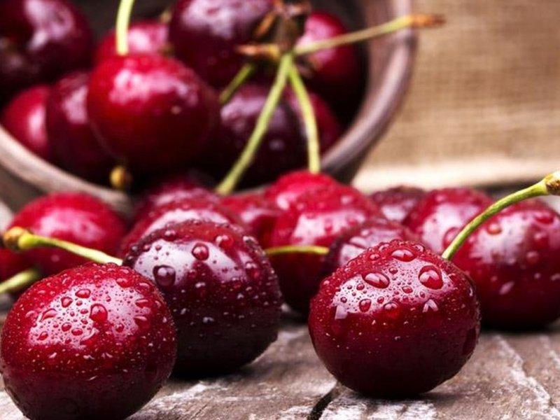 Вишня купить саженцы из питомника в Ногинске